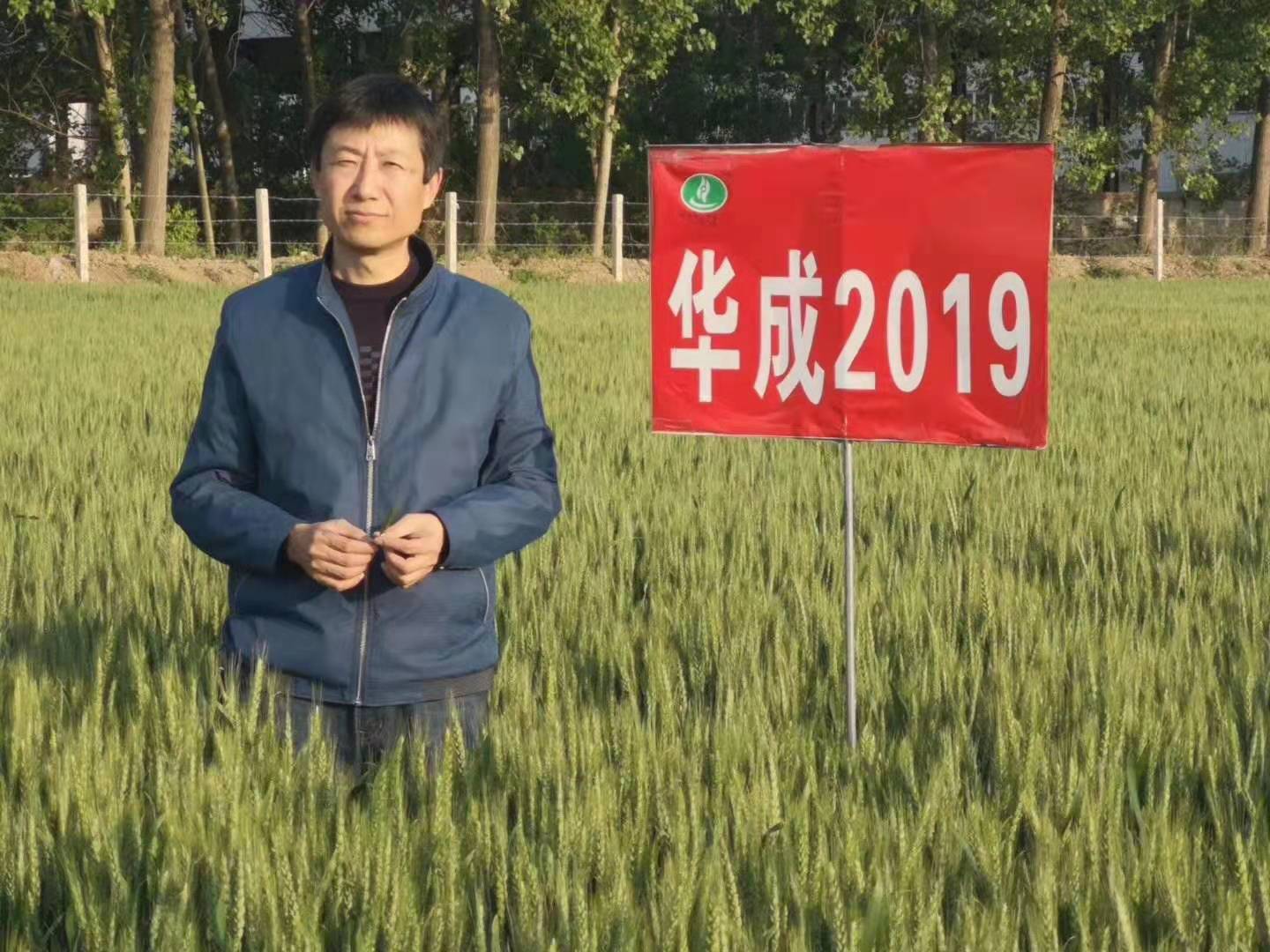 2019